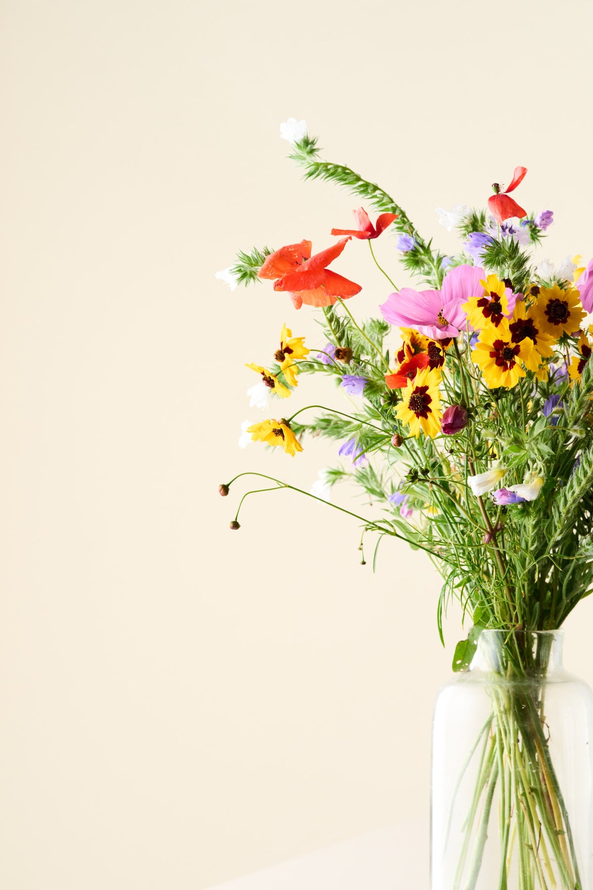 Wildflower 'Blomsterdrøm' mix
