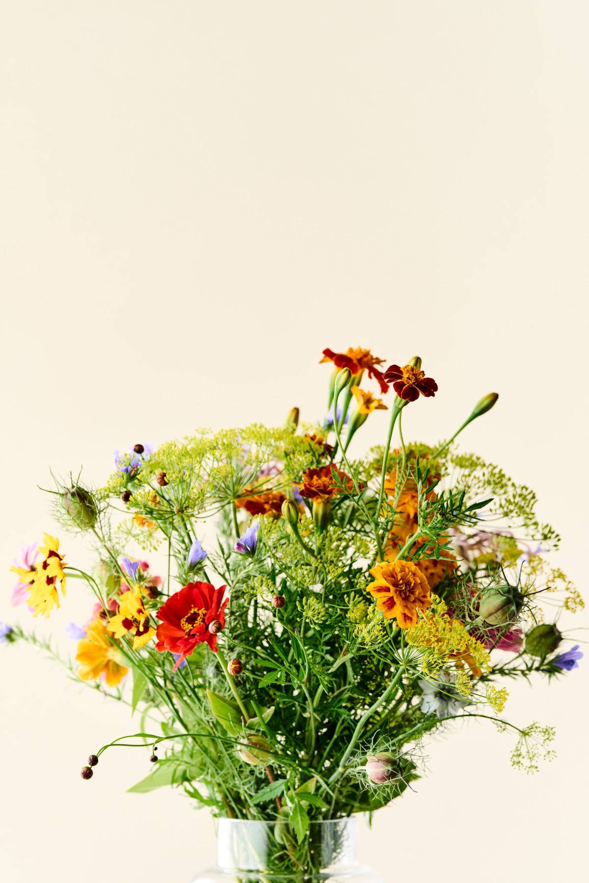 Wildflower Sneglefri blomstermix