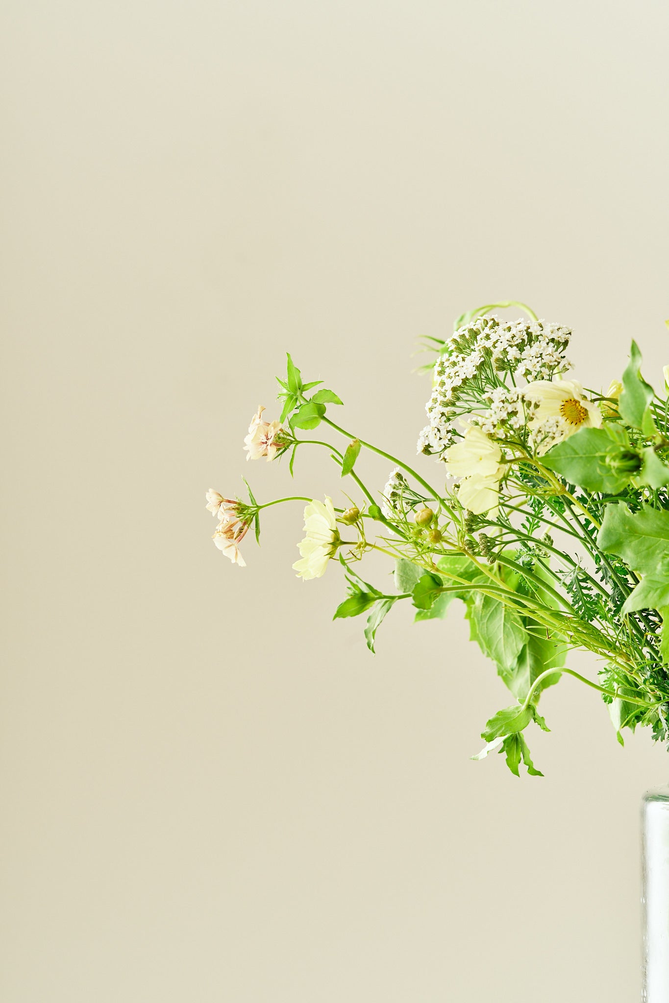Summer Breeze - Buketforslag - til din skærehave her vist på billede 10 fra Frk. Grønt