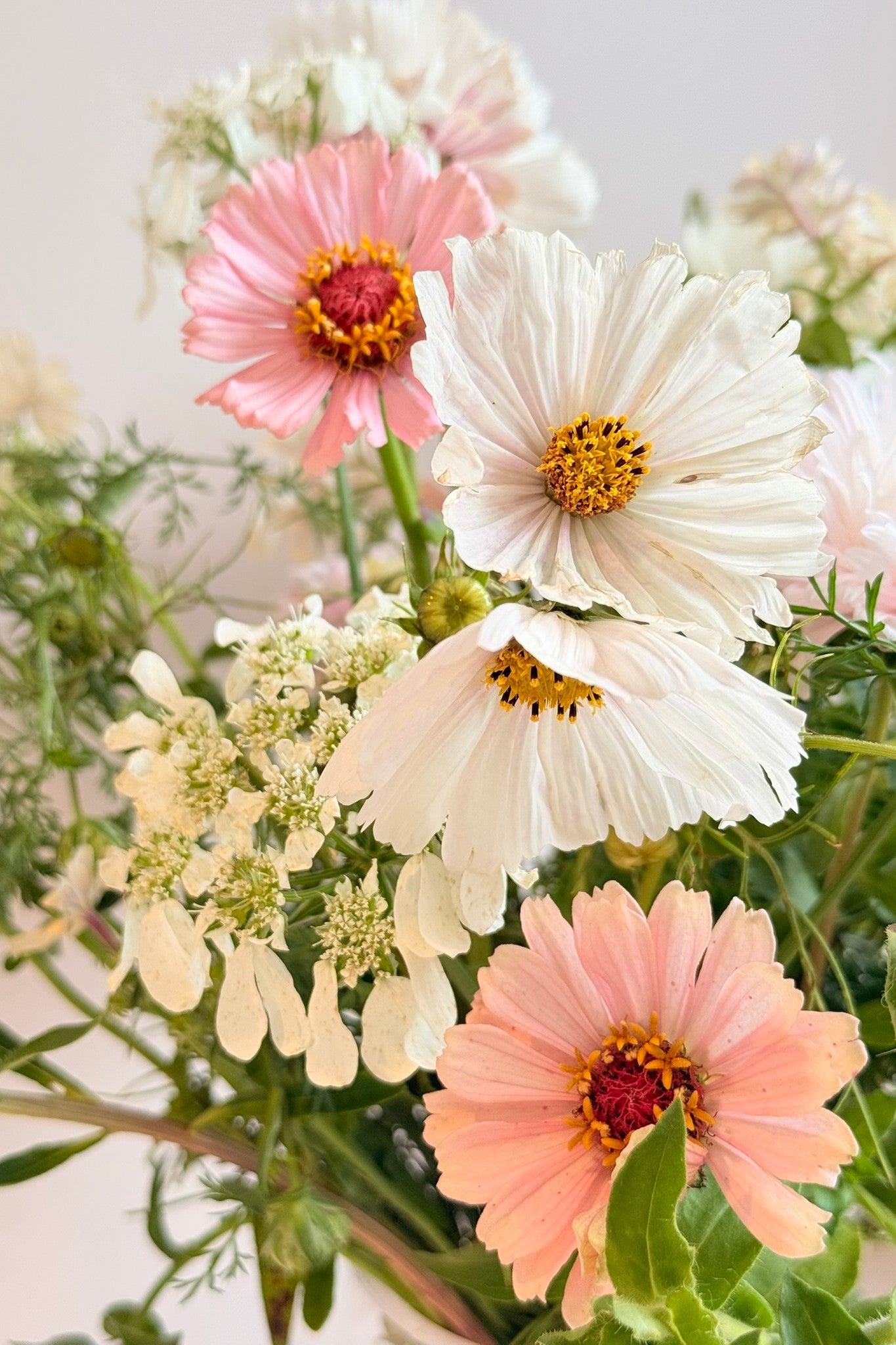 White Rosie Blush - Buketforslag - til din skærehave her vist på billede 7 fra Frk. Grønt