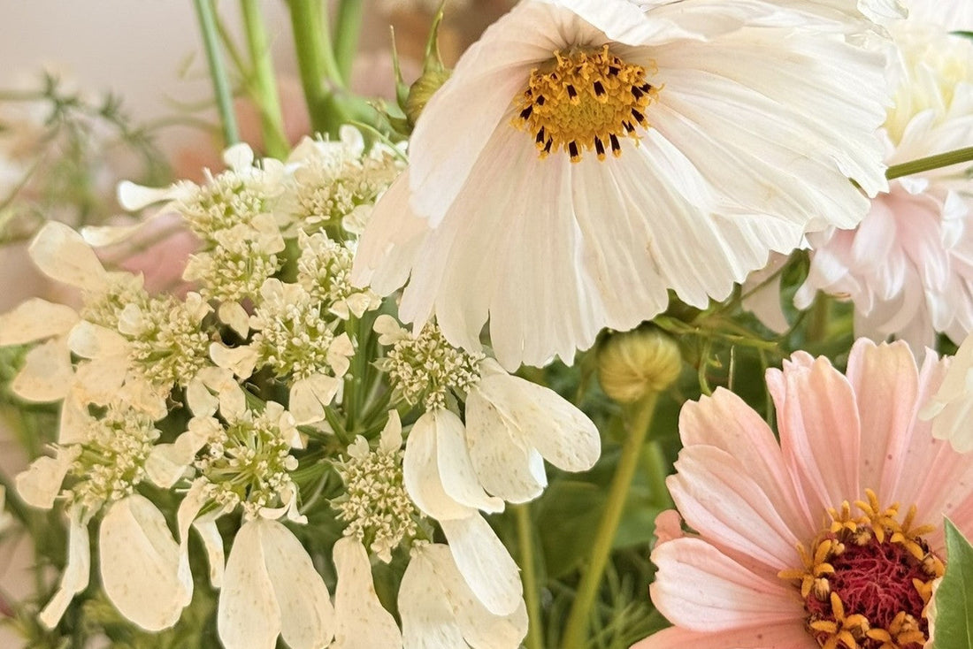 DERFOR SKAL DU DYRKE SOMMERBLOMSTER