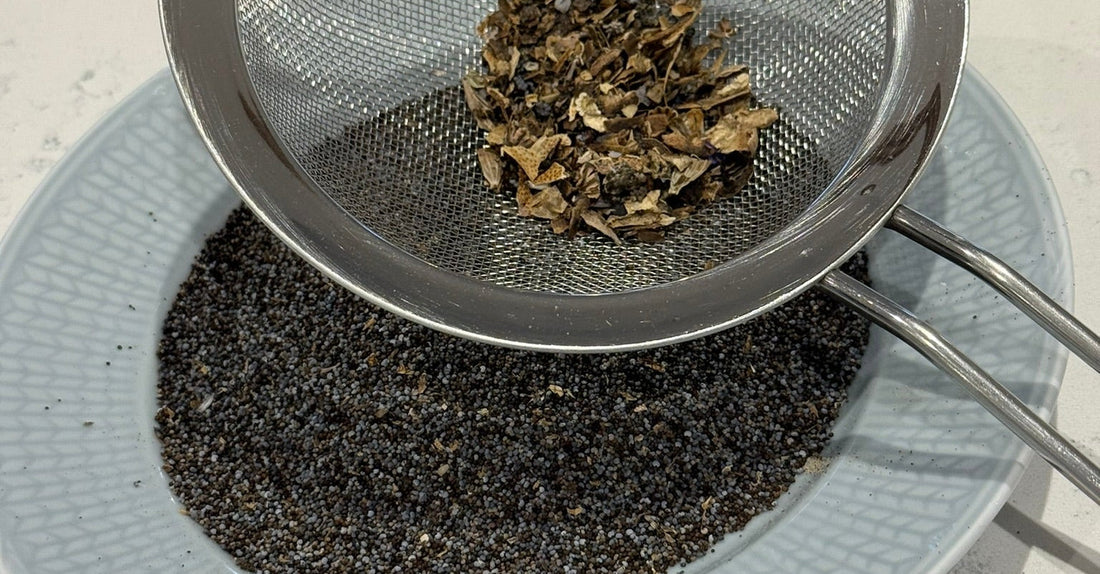 PRØV AT SAMLE DINE EGNE FRØ TIL NÆSTE SÆSON