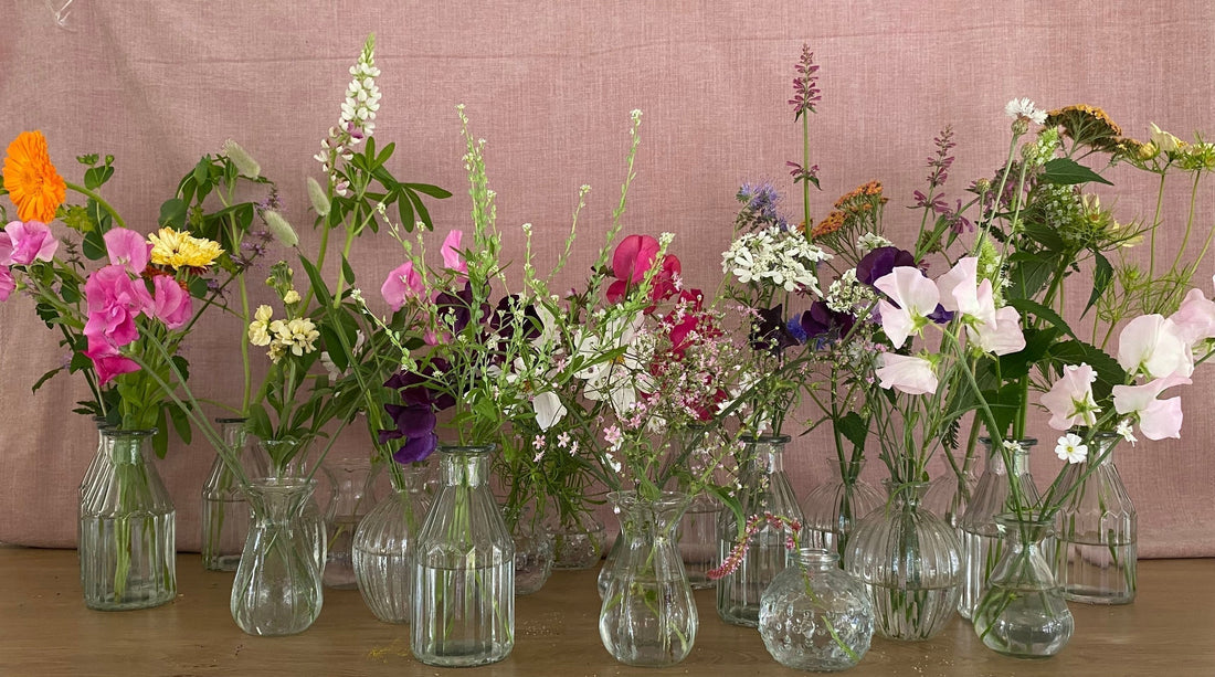 JEG VIL GERNE GØRE DET LET FOR DIG AT LYKKES MED DINE BLOMSTERFRØ