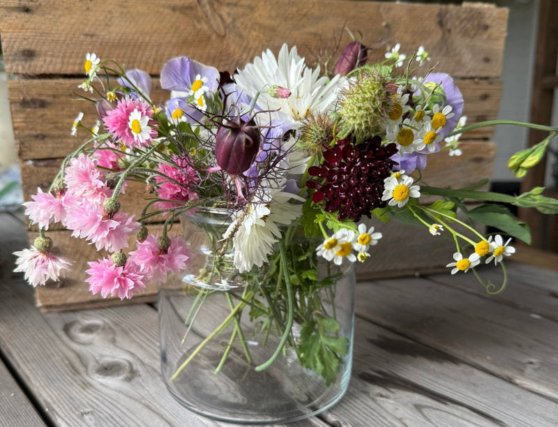 EN KORT OG OVERSKUELIG DYRKNINGSGUIDE