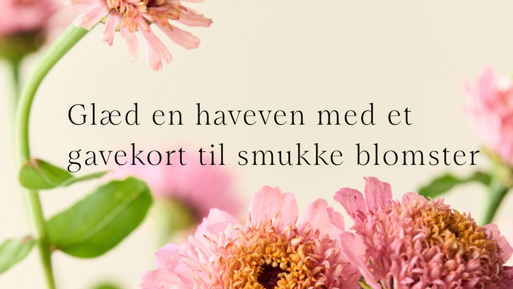 Gavekort