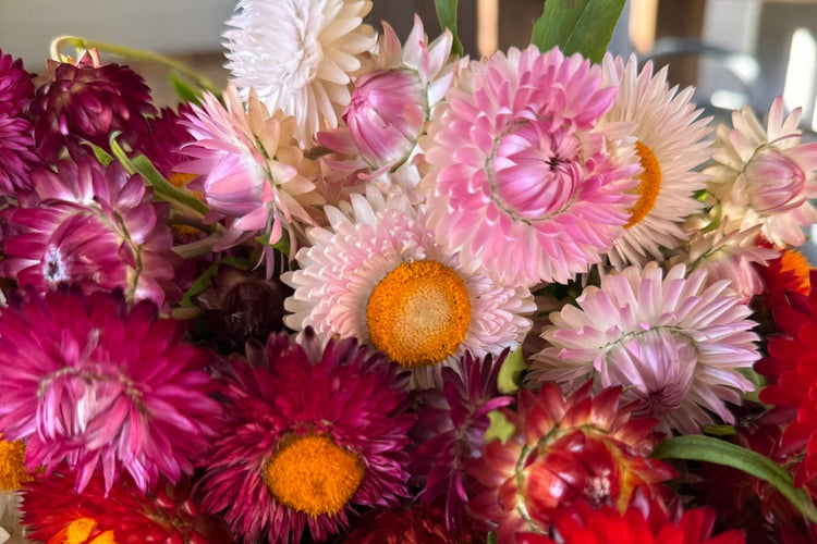 Sommerblomster til tørring