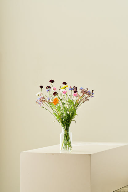 Wildflower Spiselige blomster