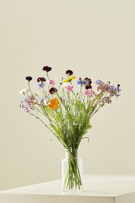 Wildflower Spiselige blomster