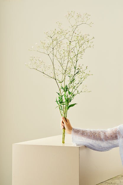 Brudeslør ‘Pacifica’