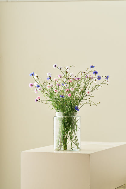 Kornblomst 'Tall Double Frosty Mix'