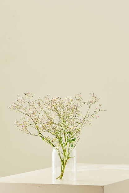 Brudeslør ‘Rosea’