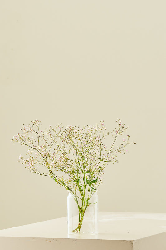 Brudeslør ‘Rosea’