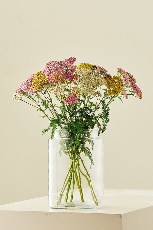 Røllike ‘Summer Pastels mix’