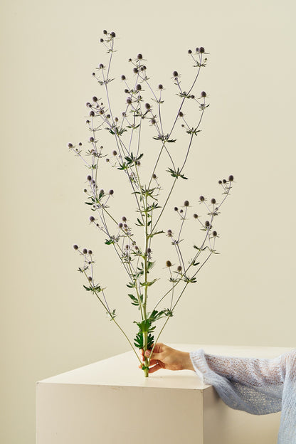 Mandstro ‘Blue Glitter’