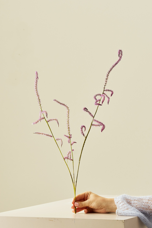 Askhindebæger 'Pink Pokers' - frø - 1-årige sommerblomster - til din skærehave her vist på billede 1 fra Frk. Grønt