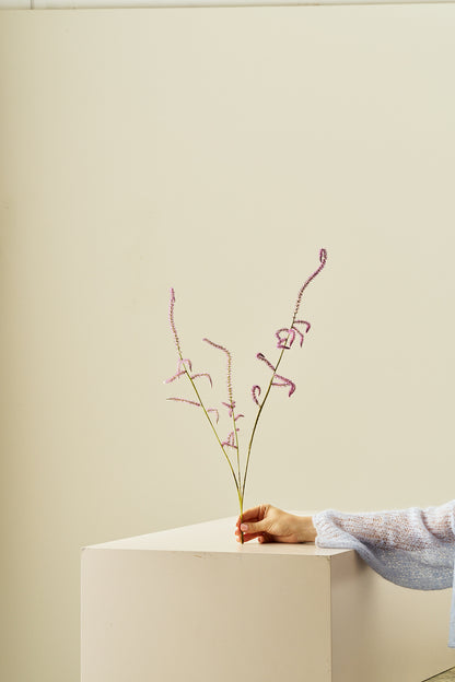 Askhindebæger 'Pink Pokers' - frø - 1-årige sommerblomster - til din skærehave her vist på billede 5 fra Frk. Grønt