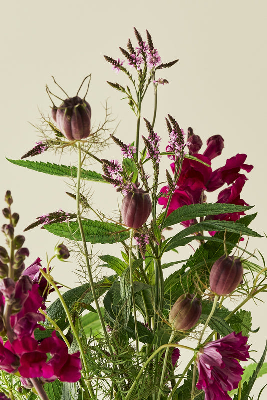 Berry Bloom - Buketforslag - til din skærehave her vist på billede 2 fra Frk. Grønt