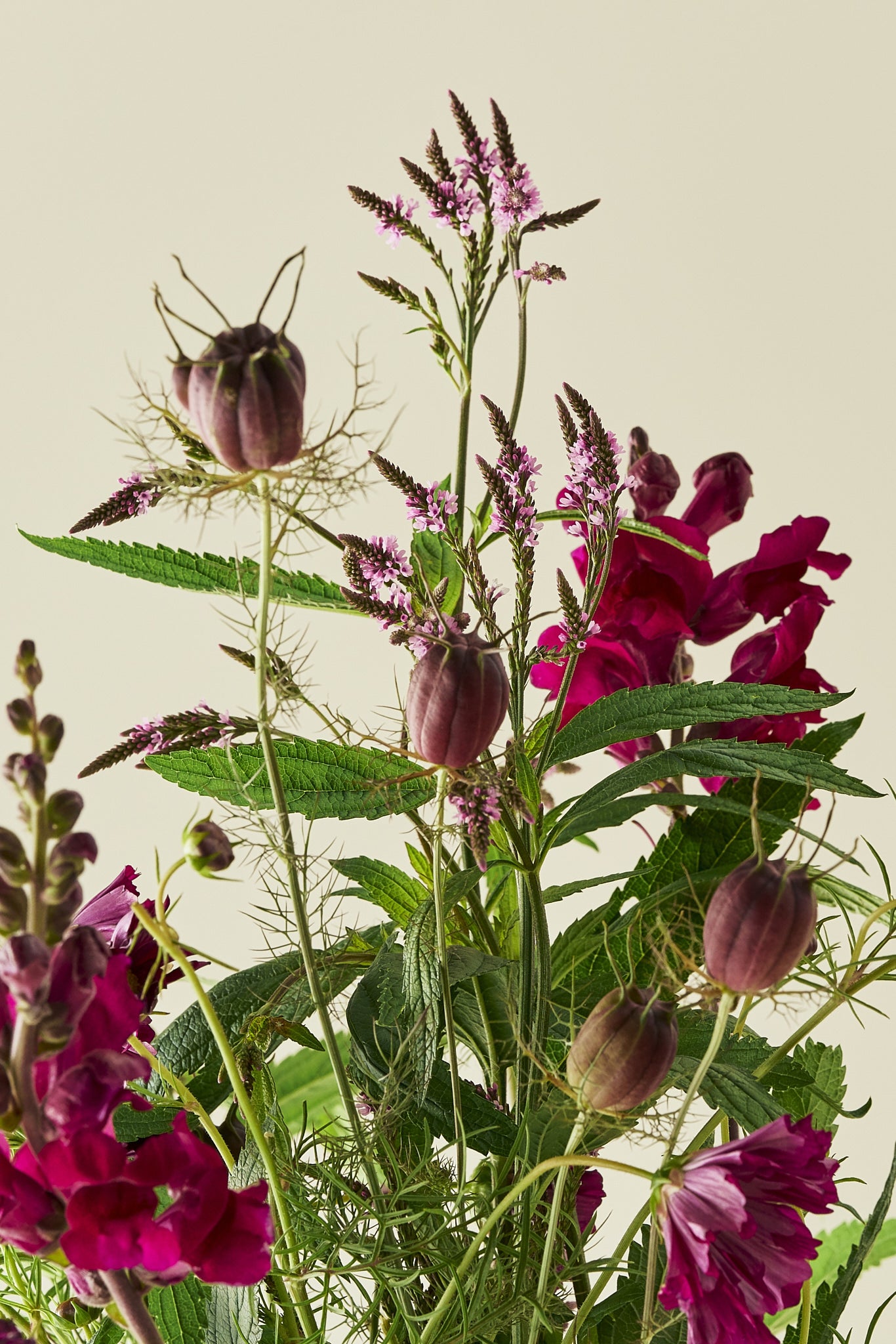 Berry Bloom - Buketforslag - til din skærehave her vist på billede 2 fra Frk. Grønt