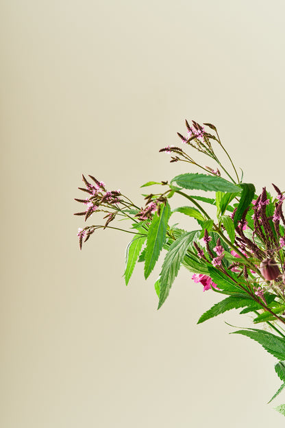 Berry Bloom - Buketforslag - til din skærehave her vist på billede 3 fra Frk. Grønt