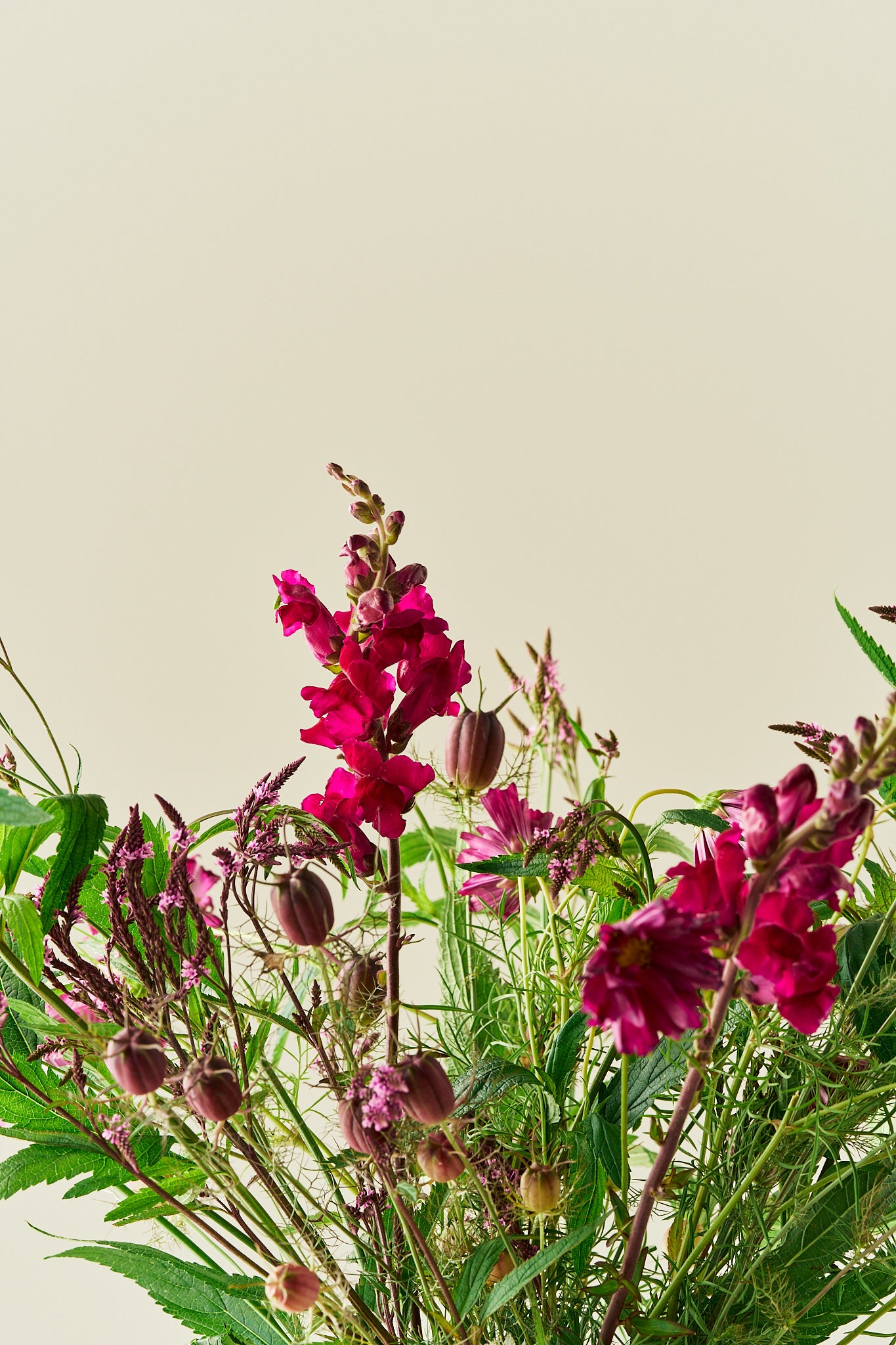 Berry Bloom - Buketforslag - til din skærehave her vist på billede 5 fra Frk. Grønt