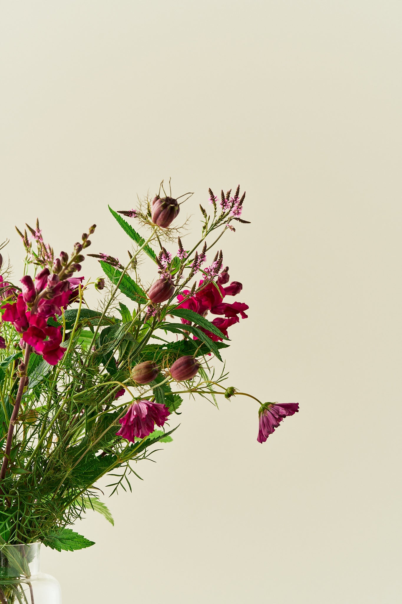 Berry Bloom - Buketforslag - til din skærehave her vist på billede 6 fra Frk. Grønt