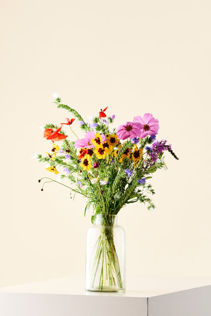 Wildflower 'Blomsterdrøm' mix