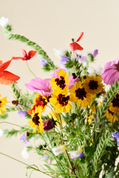 Wildflower 'Blomsterdrøm' mix