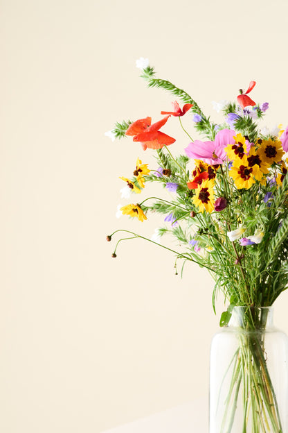 Wildflower 'Blomsterdrøm' mix