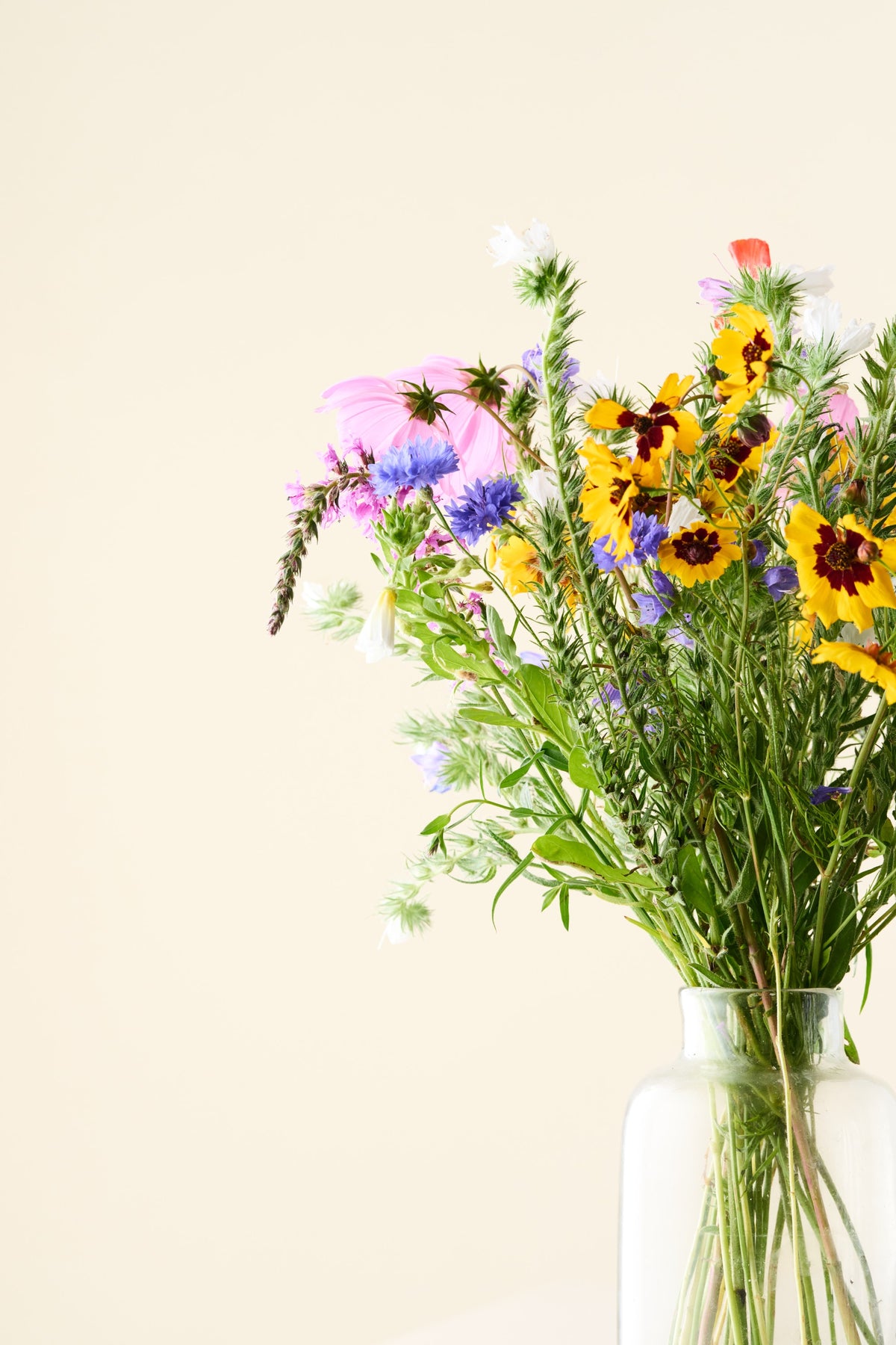 Wildflower 'Blomsterdrøm' mix