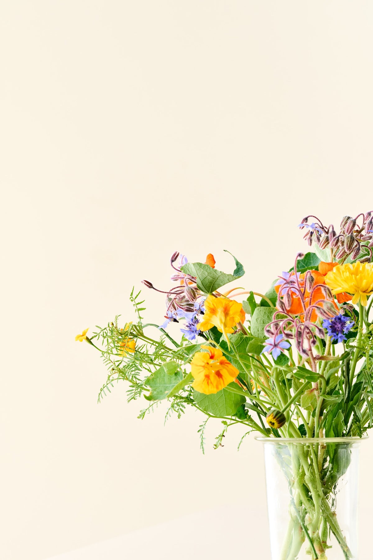Wildflower 'Solskin' – blanding af spiselige blomster