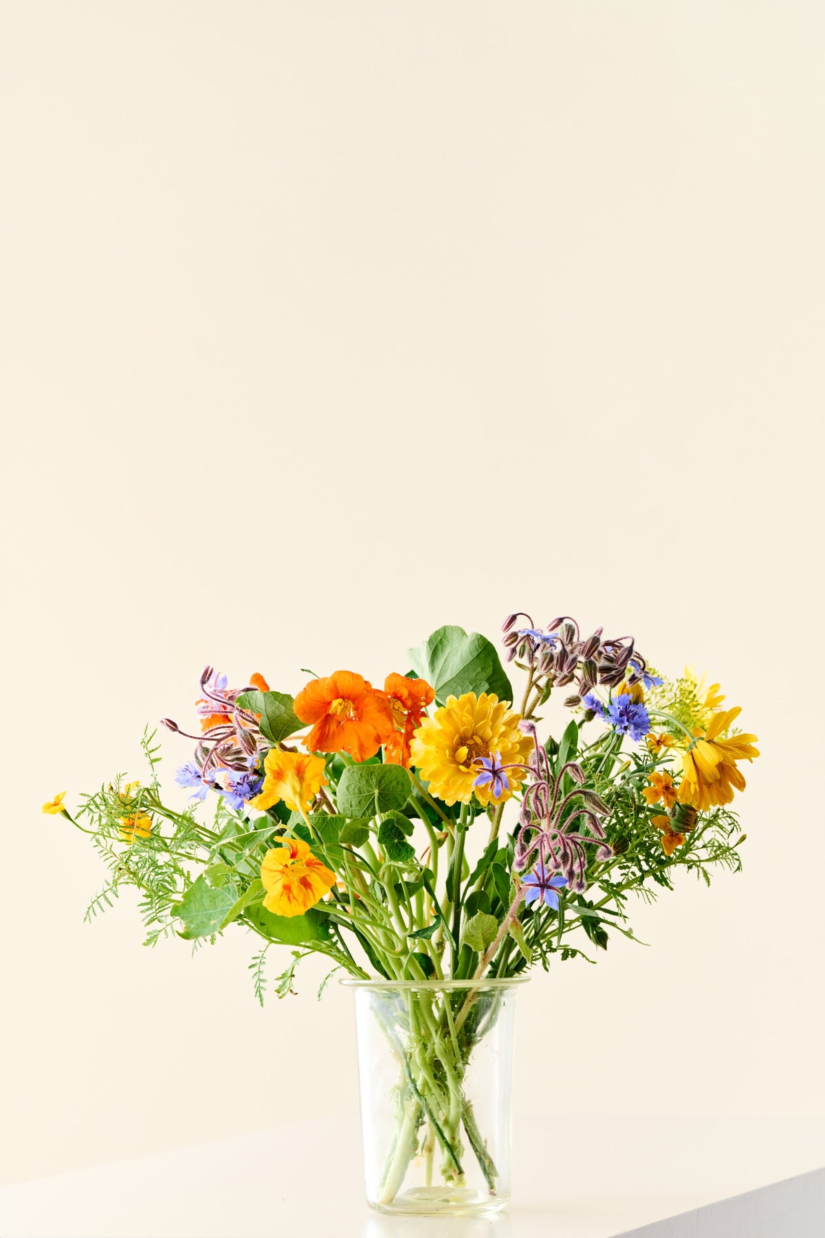 Wildflower 'Solskin' – blanding af spiselige blomster