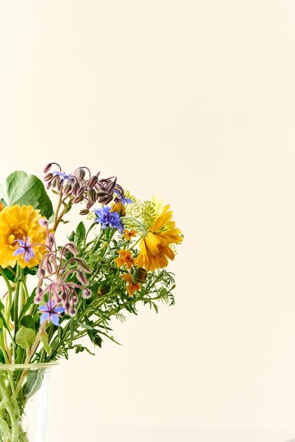 Wildflower 'Solskin' – blanding af spiselige blomster