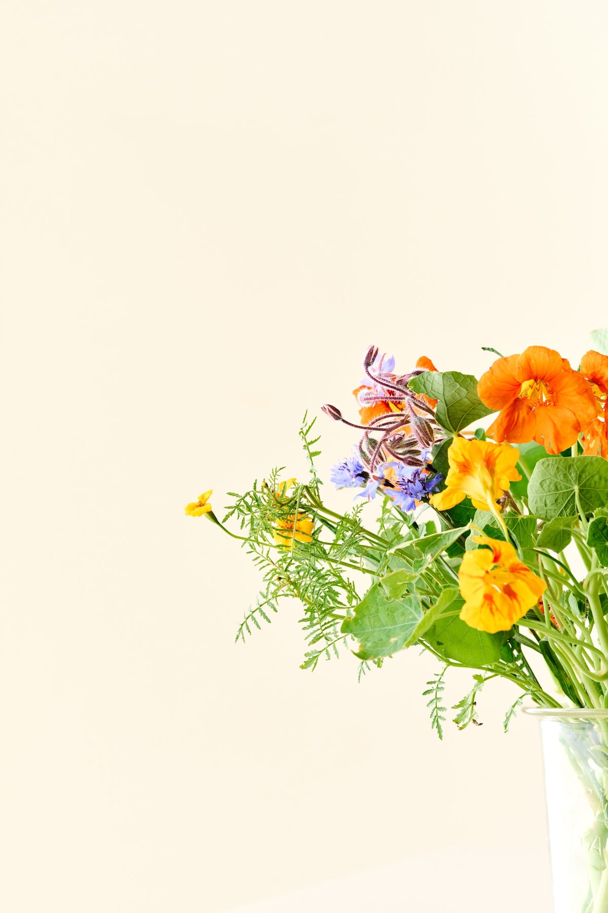 Wildflower 'Solskin' – blanding af spiselige blomster