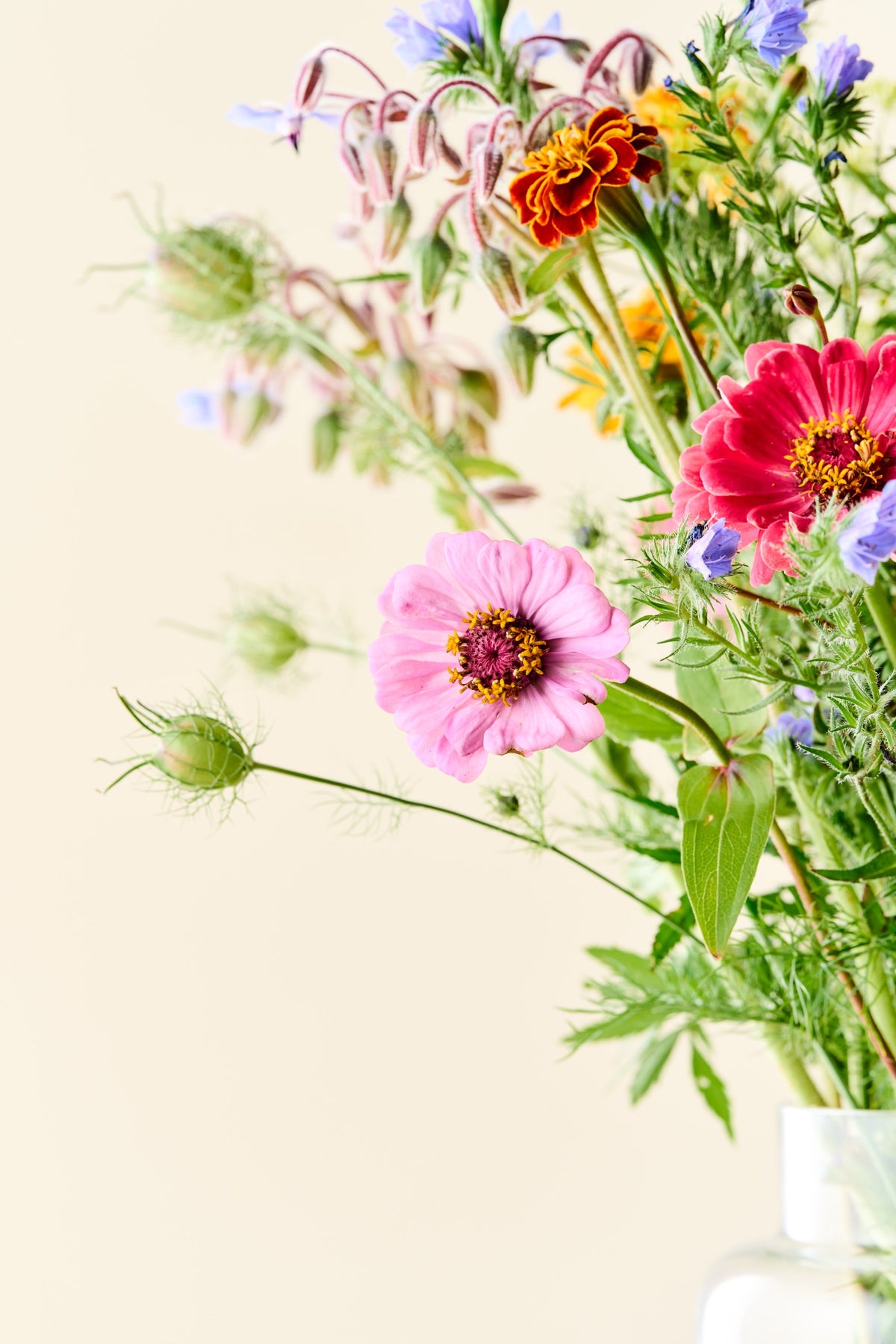 Wildflower Sneglefri blomstermix