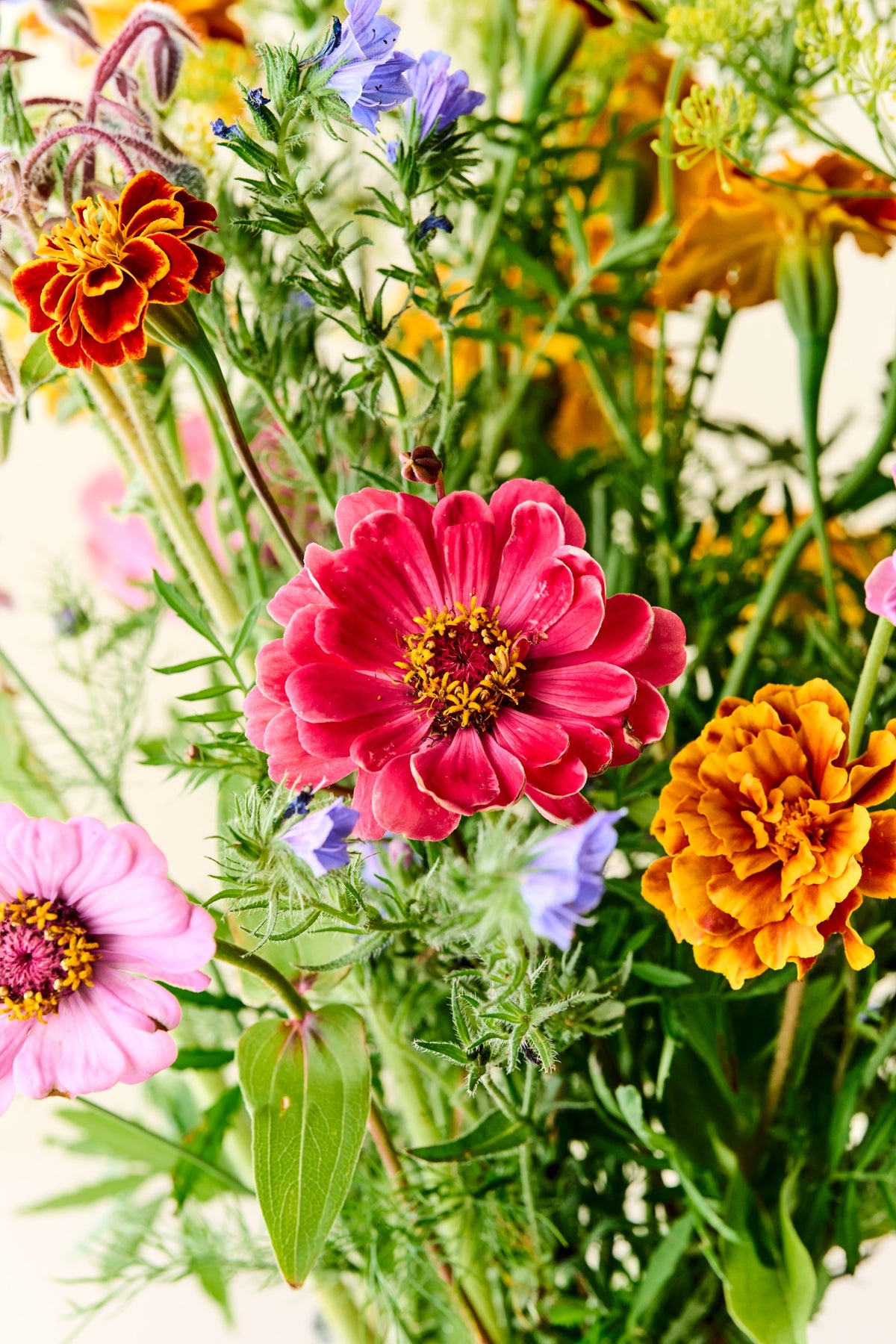 Wildflower Sneglefri blomstermix