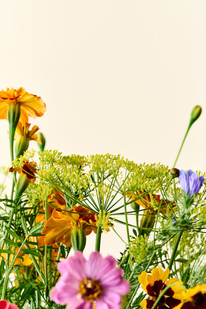 Wildflower Sneglefri blomstermix