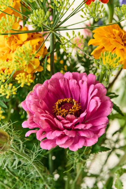 Wildflower Sneglefri blomstermix