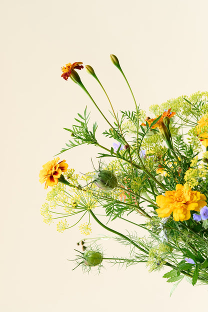 Wildflower Sneglefri blomstermix