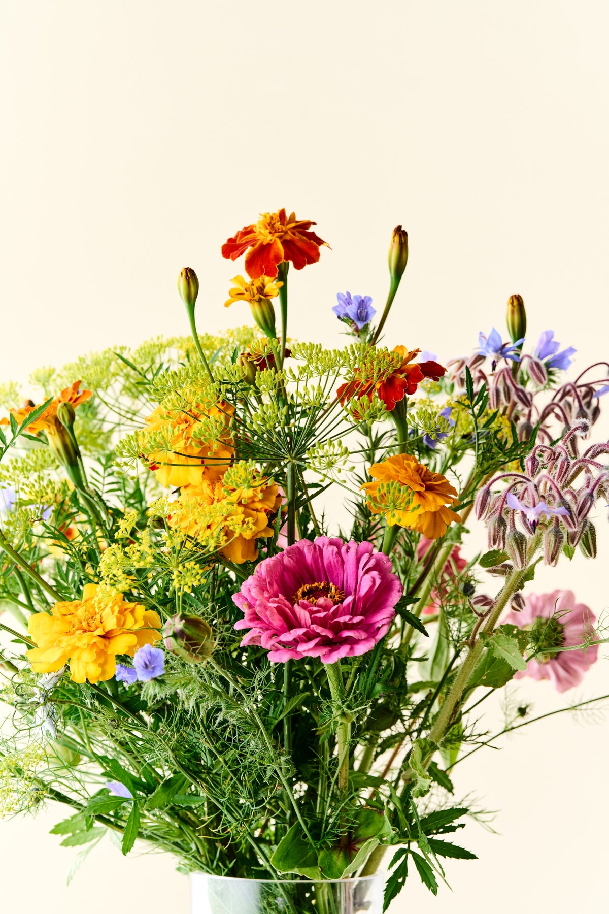 Wildflower Sneglefri blomstermix
