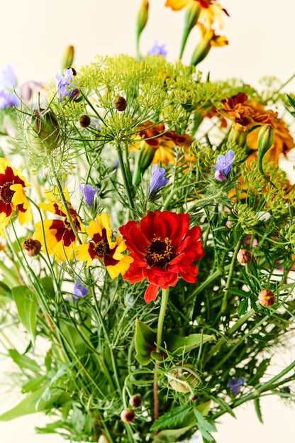 Wildflower Sneglefri blomstermix