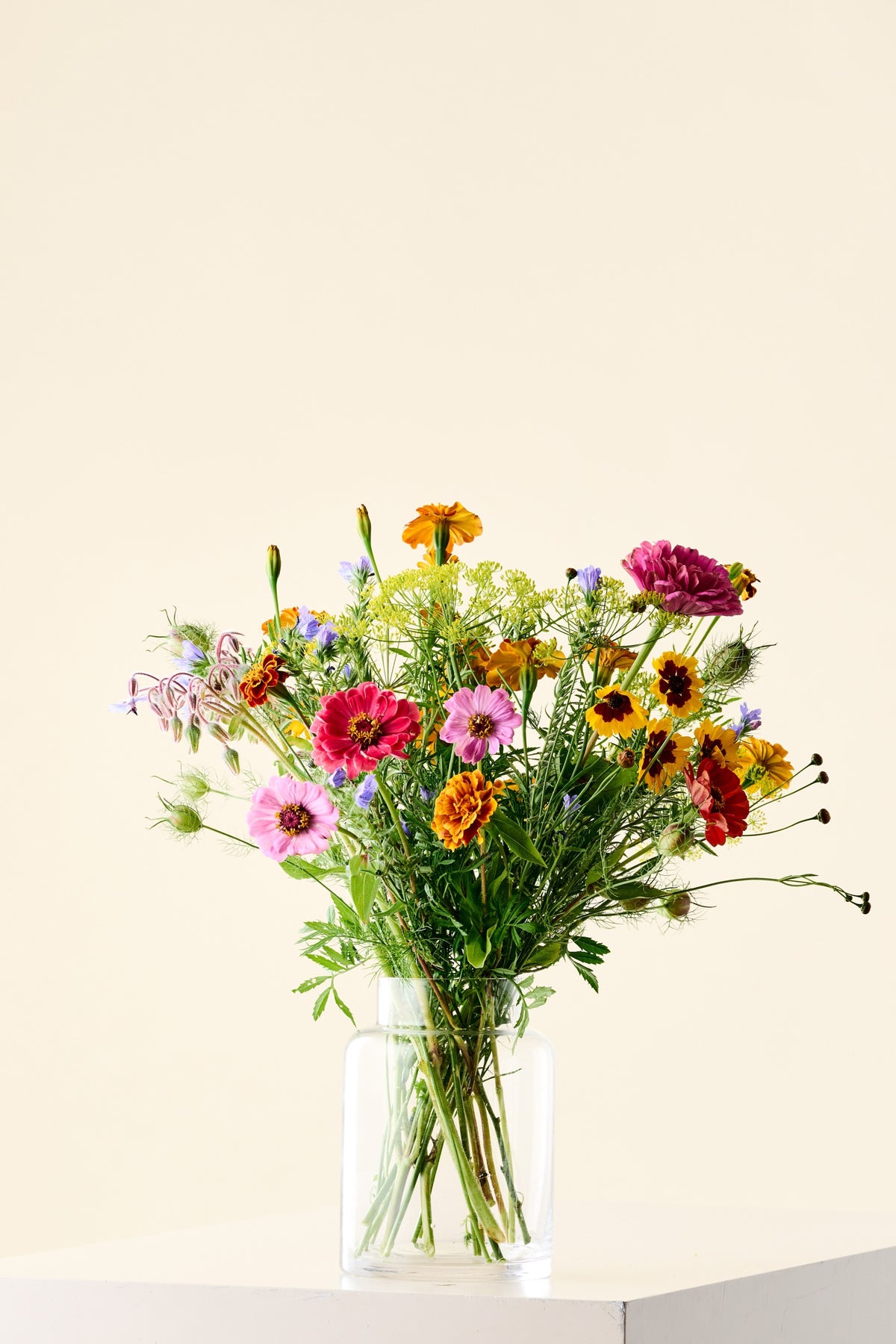 Wildflower Sneglefri blomstermix