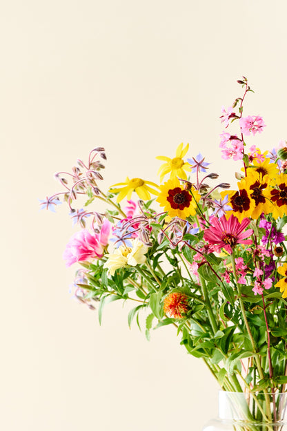 Wildflower 'Blomsterflor' mix