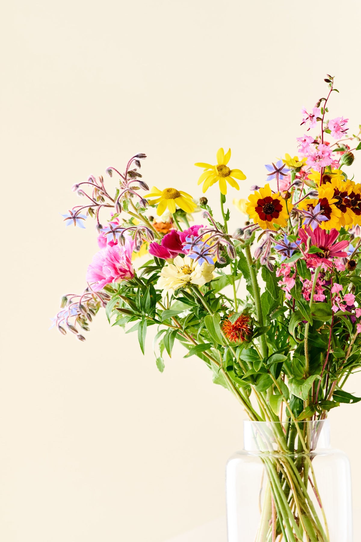 Wildflower 'Blomsterflor' mix