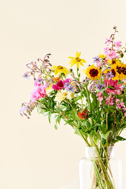 Wildflower 'Blomsterflor' mix