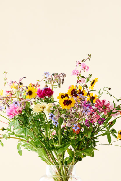 Wildflower 'Blomsterflor' mix
