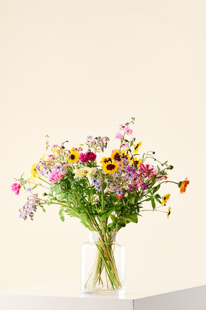 Wildflower 'Blomsterflor' mix