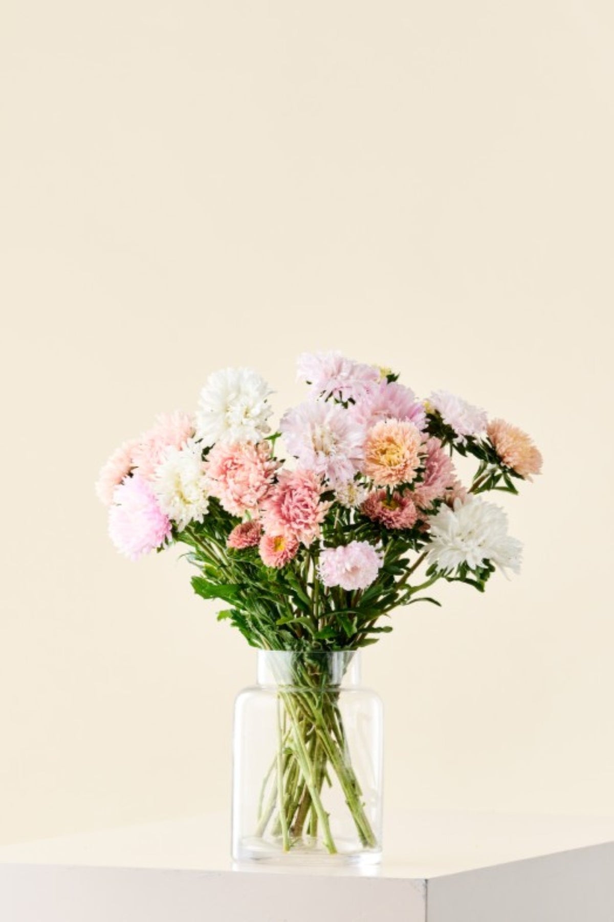 Sommerasters 'The Roses Mixture' - frø
