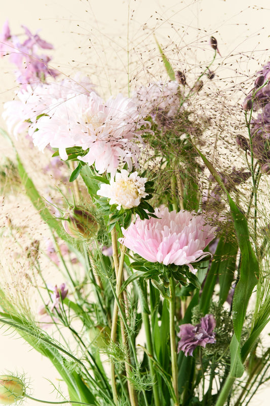 Lavender Love