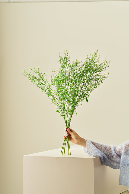 Havekarse - frø - 1-årige sommerblomster - til din skærehave her vist på billede 4 fra Frk. Grønt
