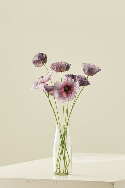 Kornvalmue 'Amazing Grey' - frø - 1-årige sommerblomster - til din skærehave her vist på billede 2 fra Frk. Grønt